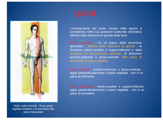 Schermata 2015-11-16 alle 16.40.39